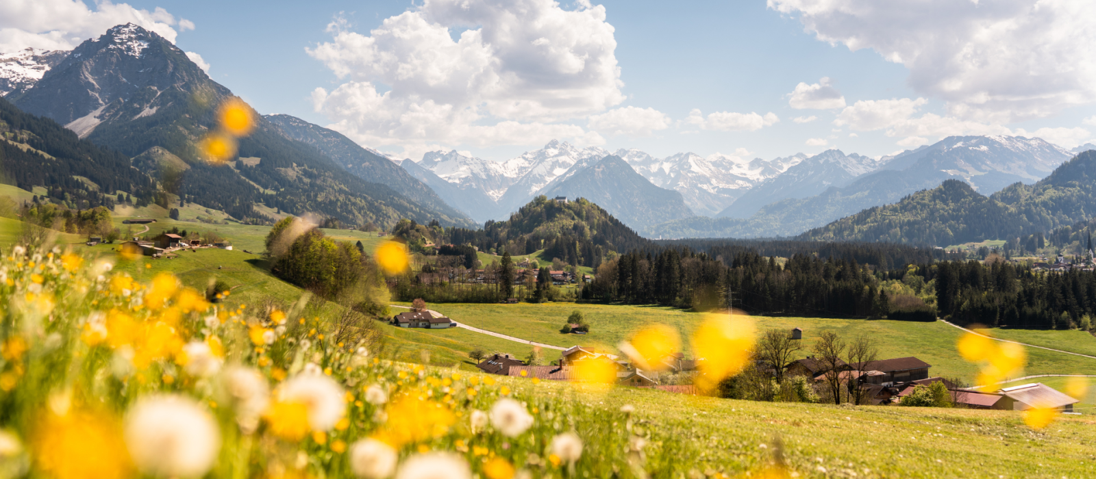 Apartments Special 7=6