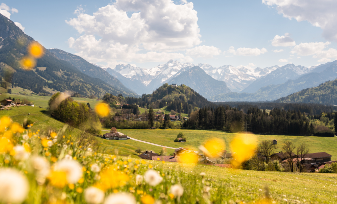 Apartments Special 7=6