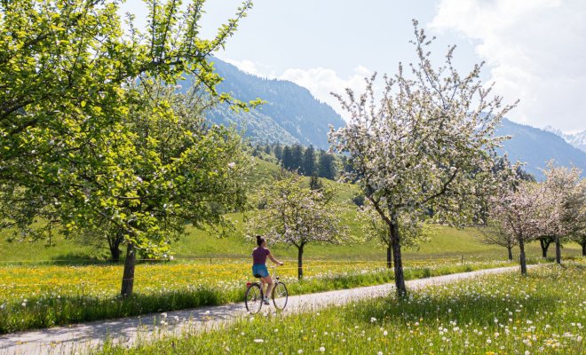 Frühlingserwachen 7=6