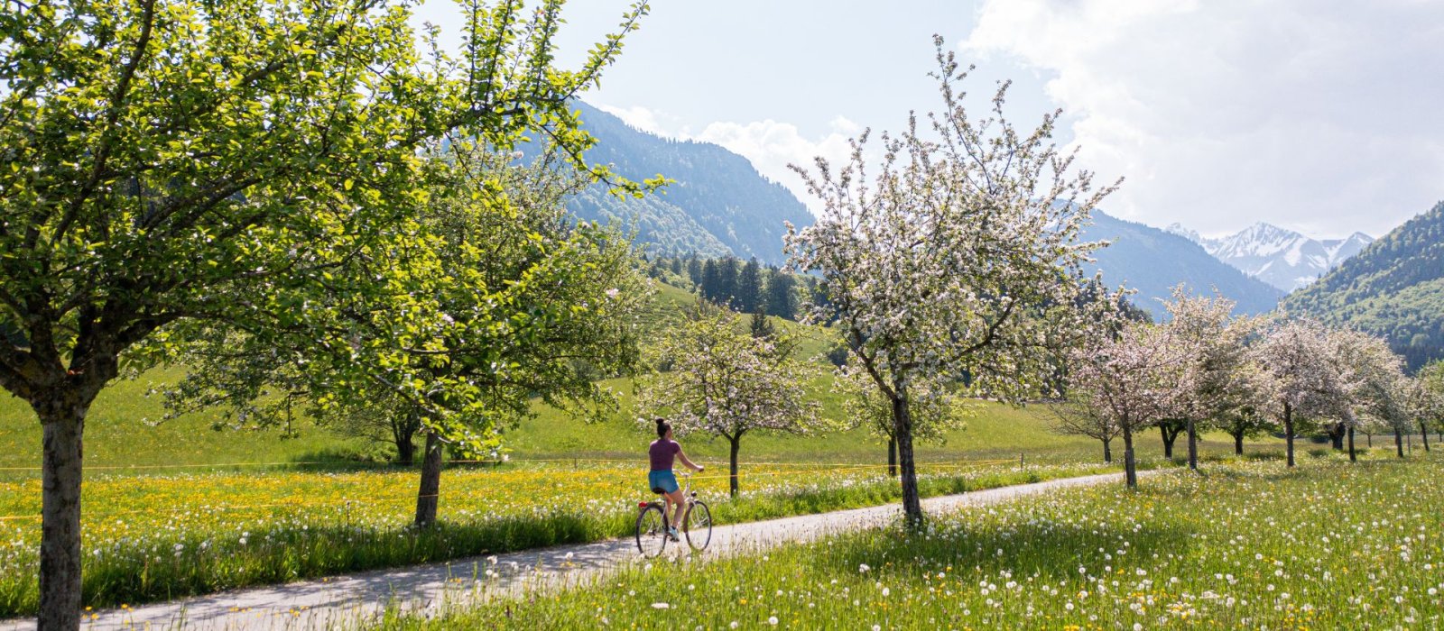 Frühlingserwachen 7=6 light