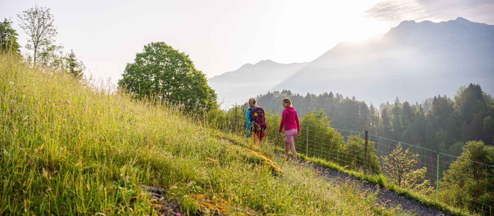 Alpenhof Verwöhntage