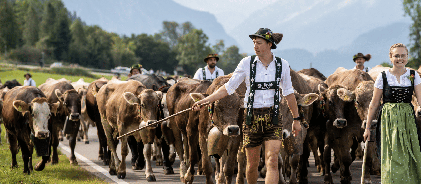 Viehscheid 2026 im Allgäu