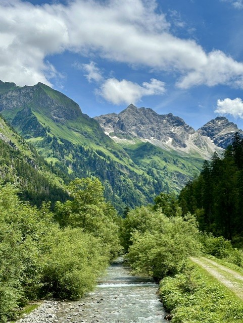 Bergpanorama vor gr&uuml;nen, bl&uuml;henden B&auml;umen und glasklaren Bach mit blauem Himmel