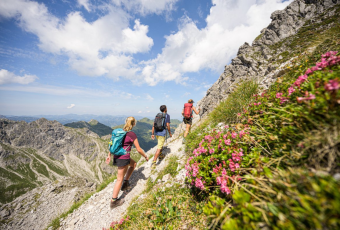 Sommer_Wandern_zwischen_Alpenrosen.png